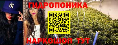 молекула духа Волгодонск