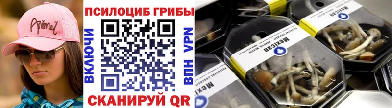 Псилоцибиновые грибы MAGIC MUSHROOMS  мега зеркало  Электрогорск  закладки 