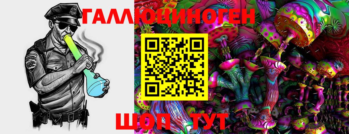 Псилоцибиновые грибы мухоморы  Электрогорск  Галлюциногенные грибы Psilocybe 