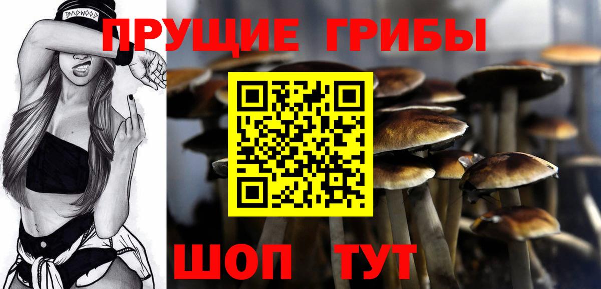 Псилоцибиновые грибы MAGIC MUSHROOMS Электрогорск